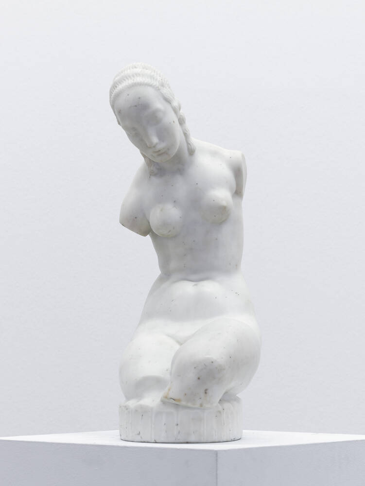 Weiblicher Torso