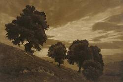Heinrich Kühn, Landschaft mit Linden, 1898