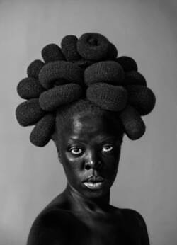 Ntozhake I, Parktown 2016