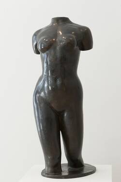 Torso Ile de France