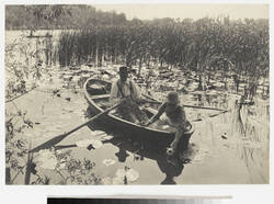 Peter Henry Emerson, Seerosenpflücken, 1886