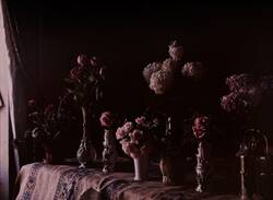 Die Welt in Farbe - Autochrome