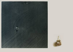 Crop Finsterwolde